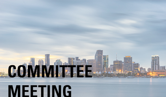 Miami Chamber Committee Meeting
