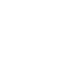 Email Icon - Medal (white)