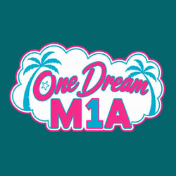 Team 1 - OneDreamM1A