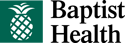 BH Logo_pms_stk 
