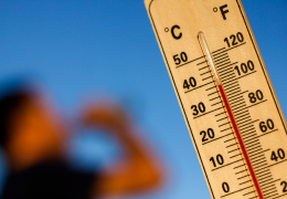 Extreme Heat and the Workforce Forum hosted by Resilience Committee - Featured Image