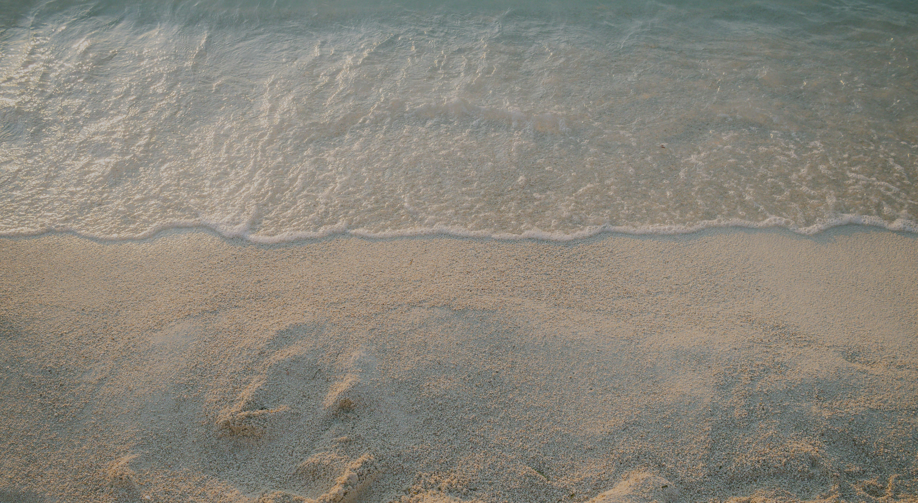 2026 Sand In My Shoes, honoring Cesar Alvarez - Featured Image