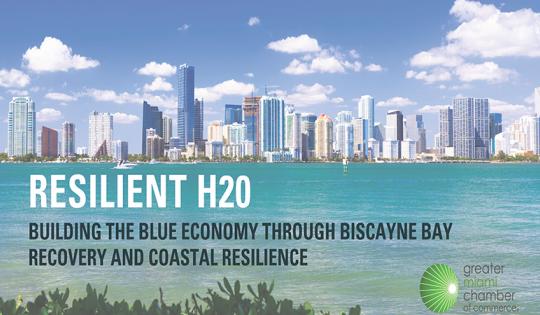 resilient h20